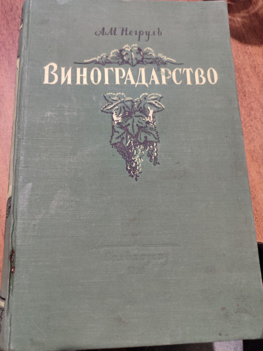 სურათი არ ჩანს