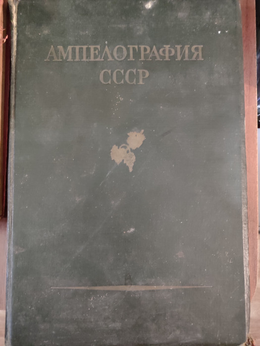 სურათი