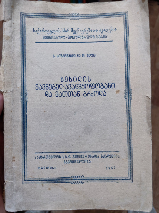 სურათი არ ჩანს