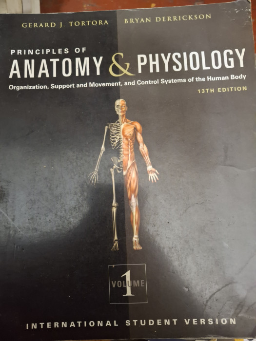 Изображение не отображается